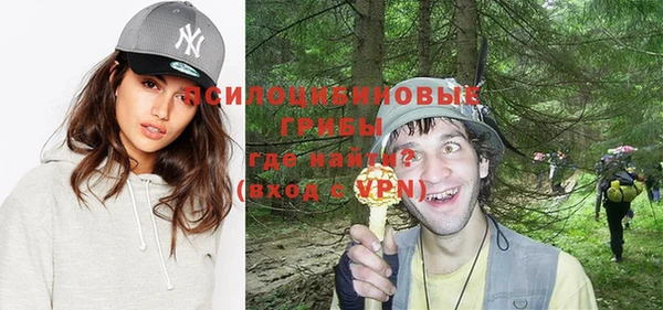 спиды Белокуриха