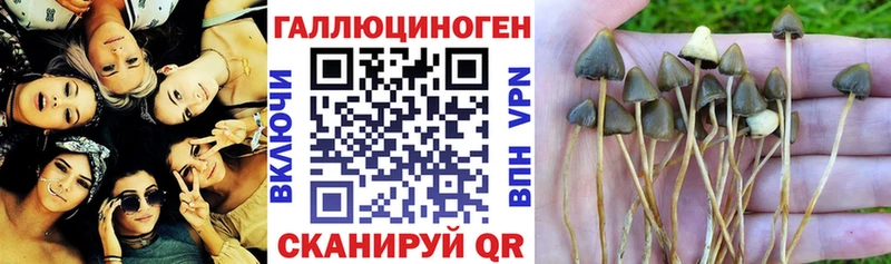 ОМГ ОМГ онион  Нариманов  Галлюциногенные грибы мухоморы 
